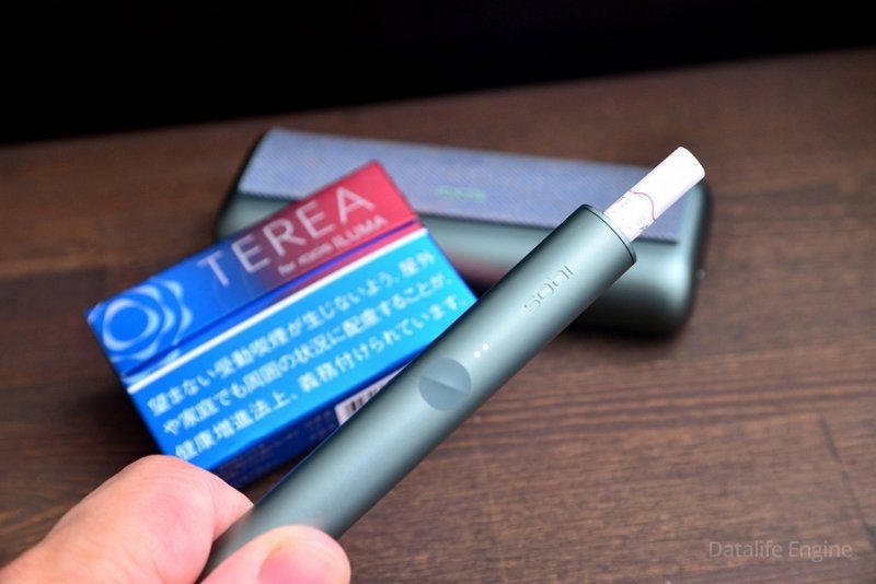 iqos terea